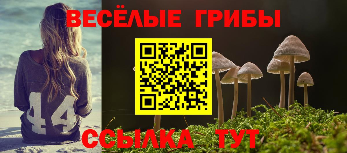 Псилоцибиновые грибы Psilocybine cubensis  Вход с VPN  Владивосток 