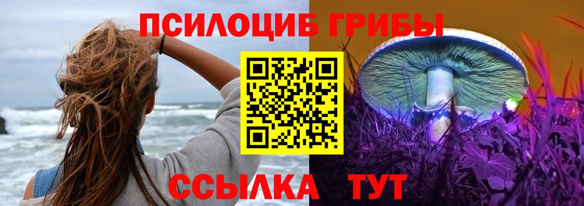 Галлюциногенные грибы ЛСД Владивосток